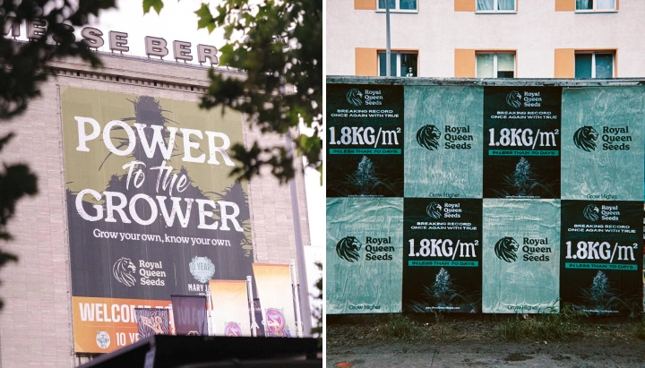 Découvrez la campagne Power to the Grower à travers Berlin, qui transmet un message de culture à domicile, d’indépendance et de connaissance de ses propres plantes.