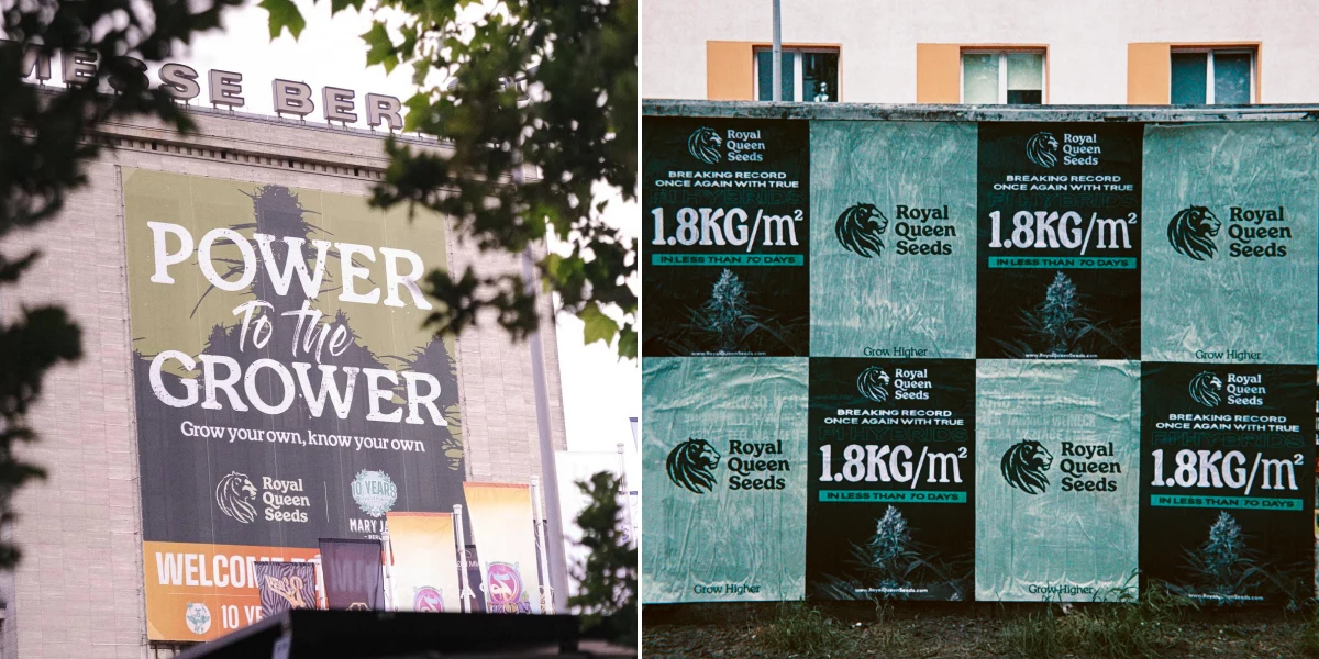 Découvrez la campagne Power to the Grower à travers Berlin, qui transmet un message de culture à domicile, d’indépendance et de connaissance de ses propres plantes.