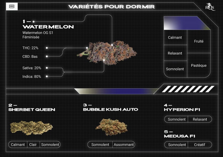 Top RQS Sleepy Strains