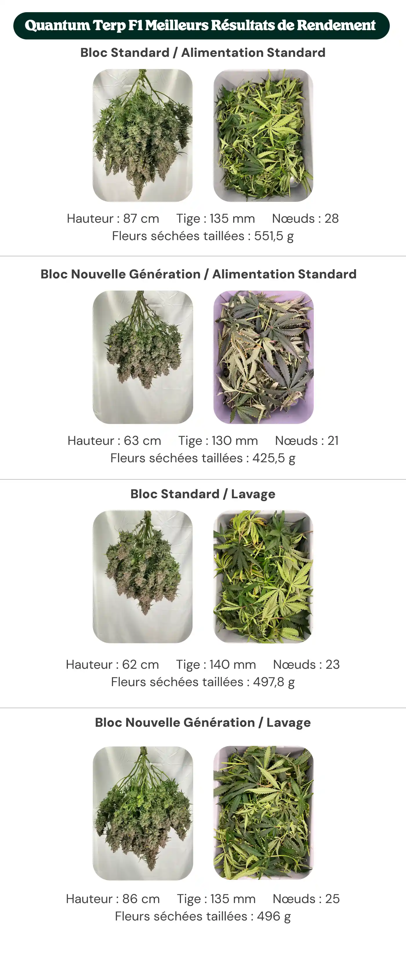 Aperçu des résultats de Quantum Terp F1 comparant les traitements avec bloc standard et bloc nouvelle génération, avec alimentation standard et rinçage, montrant la hauteur des plantes, le diamètre de la tige, le nombre de nœuds et le poids des fleurs sèches manucurées.