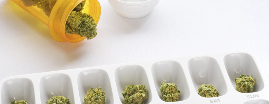 Règlement sur la cannabis Gouvernement allemand