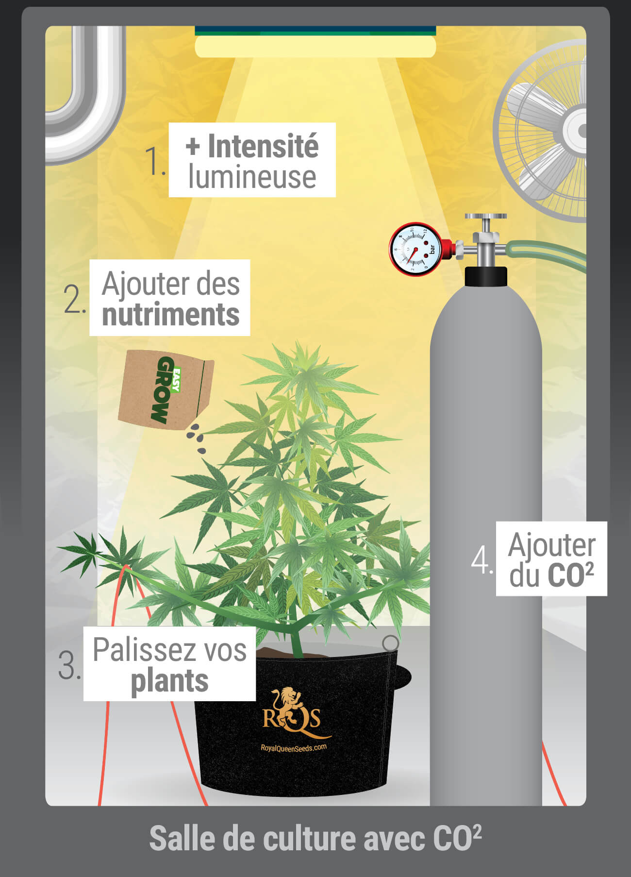 Quand Devriez-Vous Utiliser Le CO₂ ?