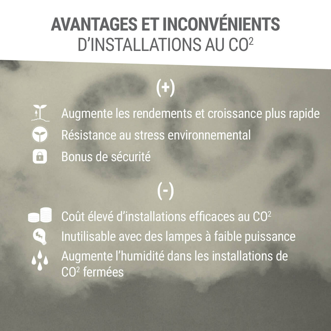 Avantages et Inconvénients d'Installations au CO2