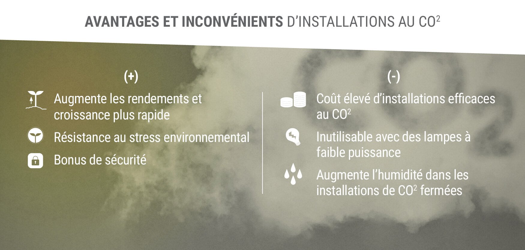 Avantages et Inconvénients d'Installations au CO2
