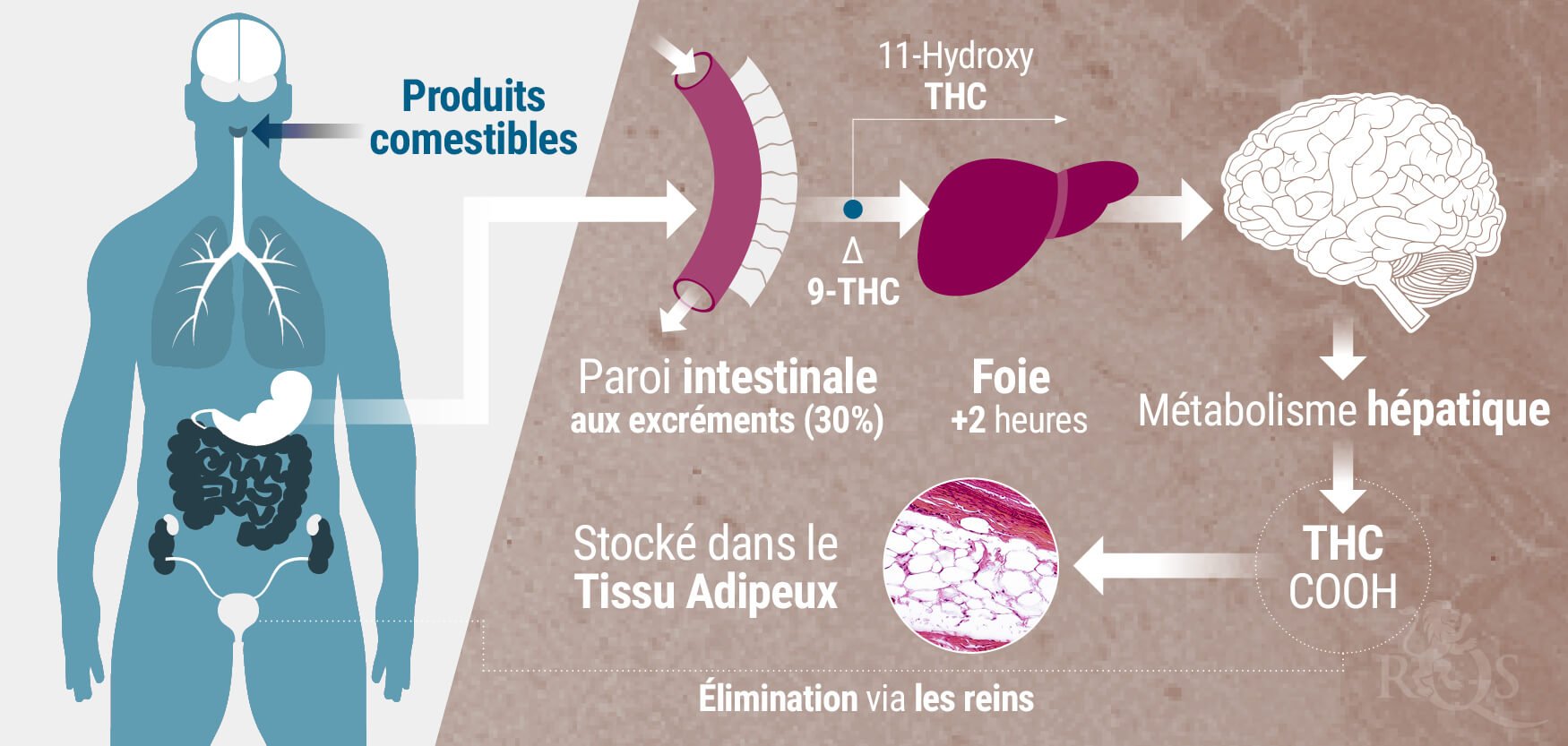 Produits Comestibles