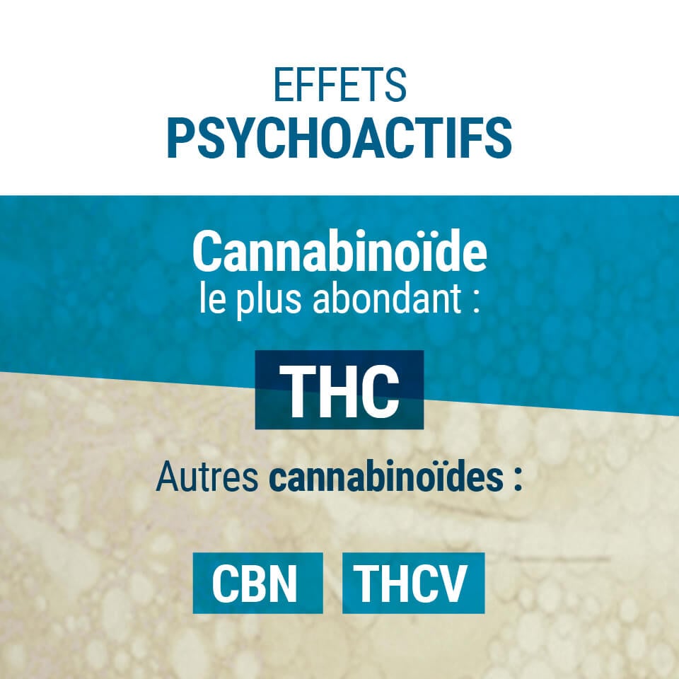 Effets Psychoactifs Du THC