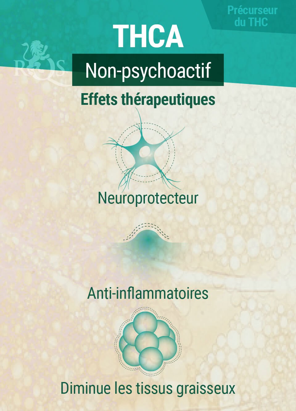 Effets Thérapeutiques Du THCA