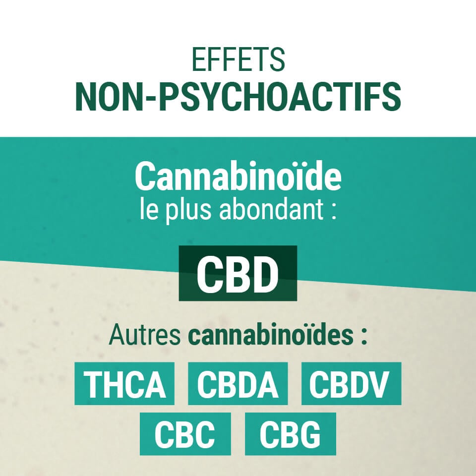 Effets Non-Psychoactifs Du CBD