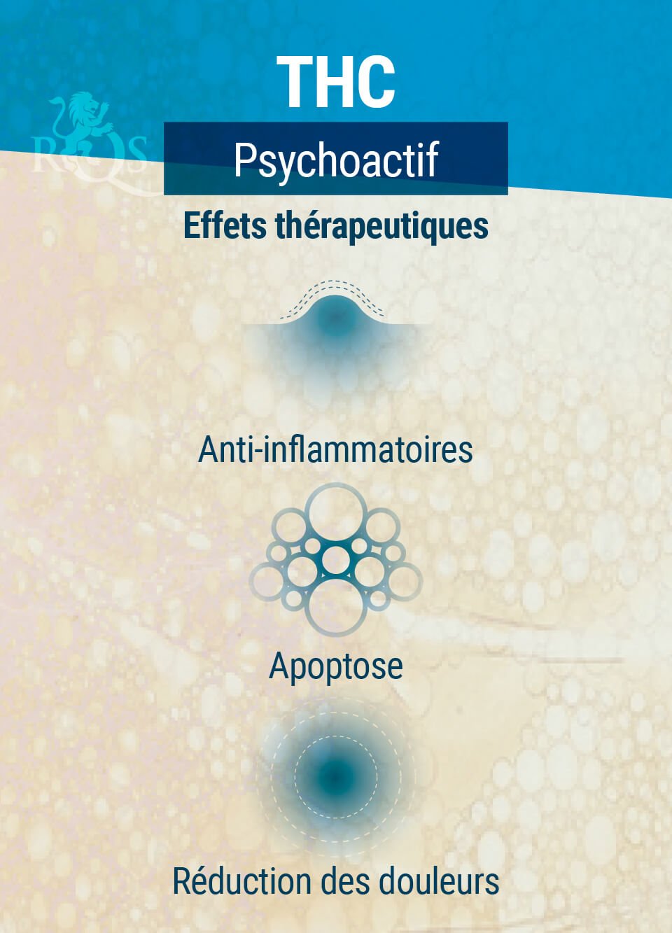 Effets Psychoactifs Du THC