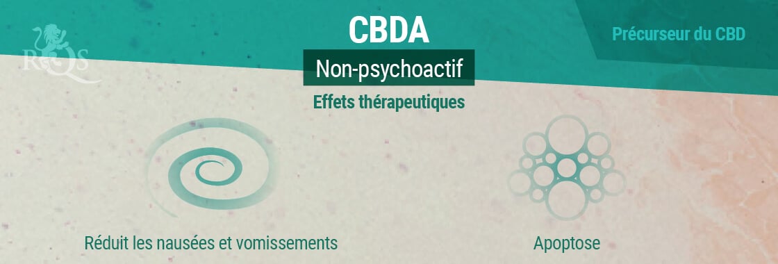 Effets Thérapeutiques Du CBDA