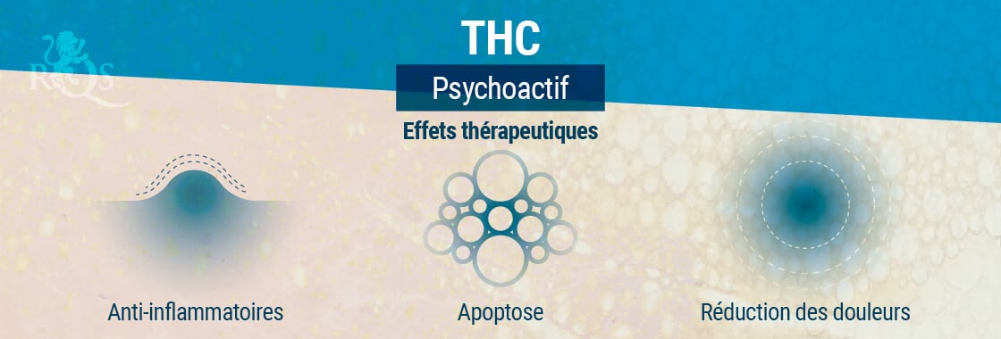 Effets Thérapeutiques Du THC