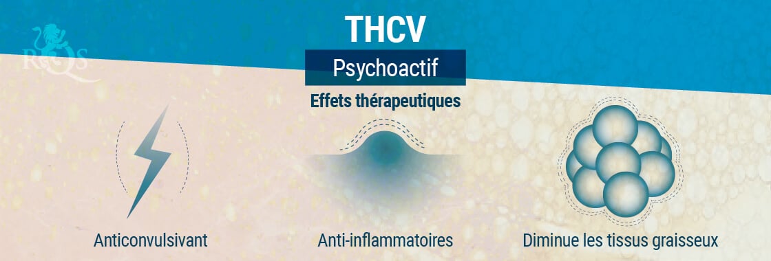 Effets Thérapeutiques Du THCV