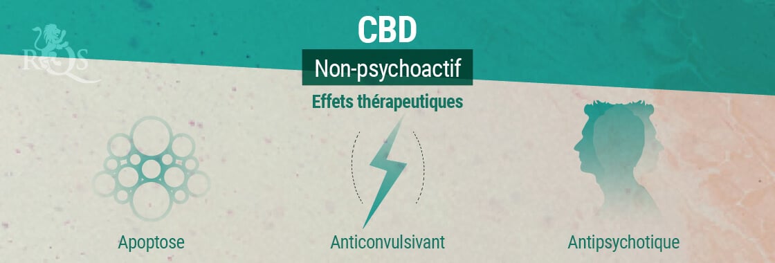 Effets Thérapeutiques Du CBD