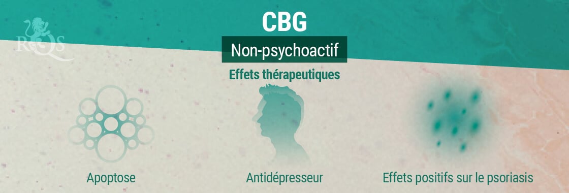 Effets Thérapeutiques Du CBG