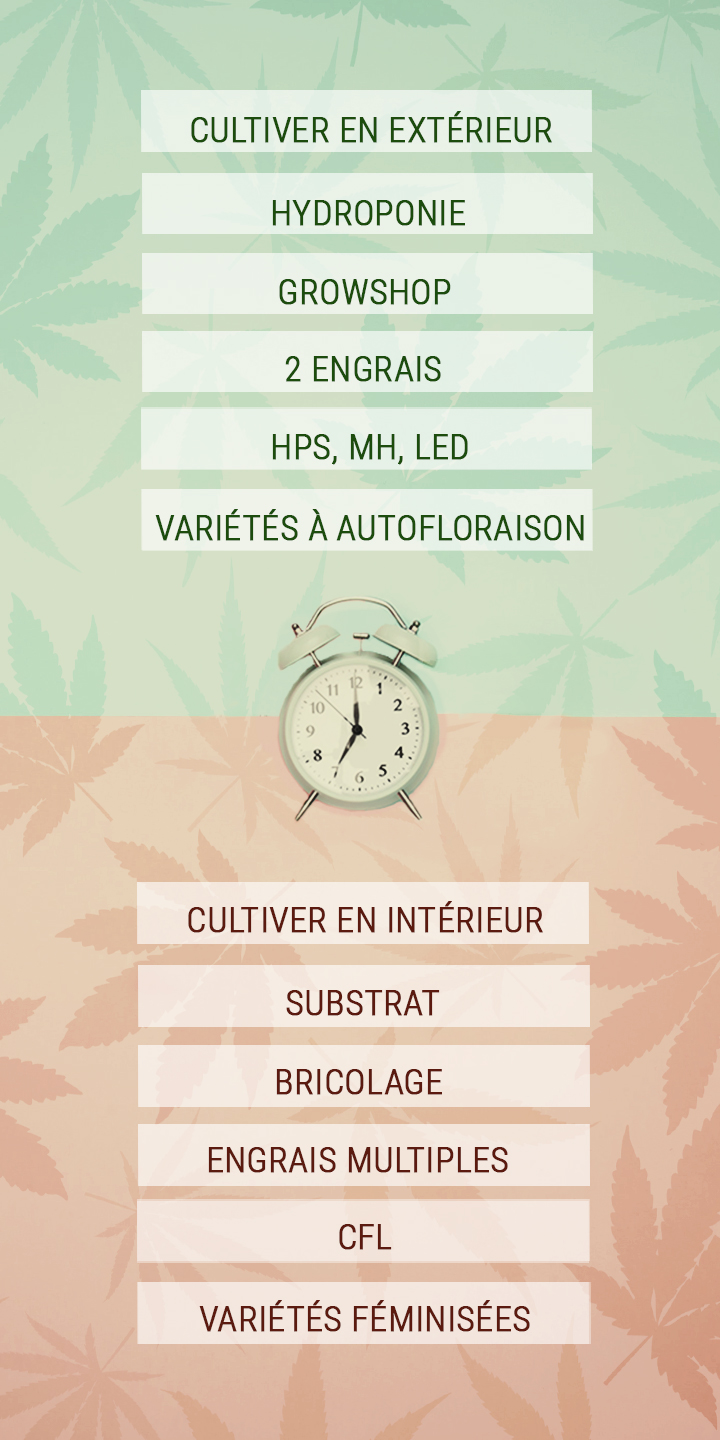 Quelques conseils pour économiser le temps des cultivateurs de cannabis Quelques conseils pour économiser le temps des cultivateurs de cannabis