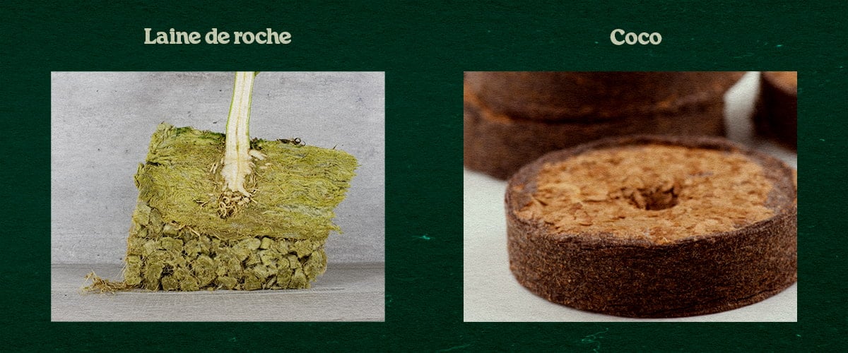 Comparaison Substrats Rockwool et Coco pour Plantes Comparaison des substrats Rockwool et Coco, avec une plante dans du Rockwool vert et un disque Coco, testés pour la croissance.