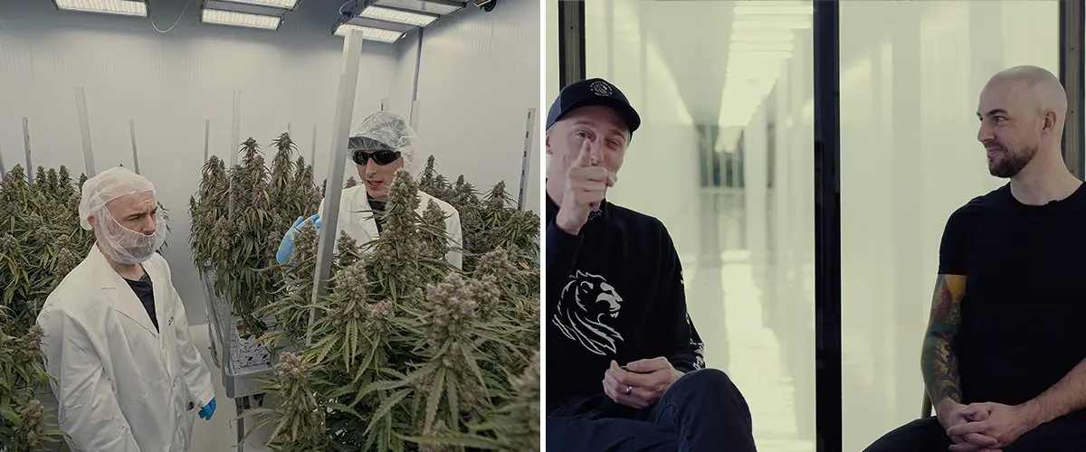 Simon CRIC Labs Rôle de Recherche Cannabis Guide Une illustration de Simon de CRIC Labs discutant de son rôle de recherche avec Max, dans une salle de culture intérieure high-tech avec des plantes de cannabis, des outils de collecte de données et des plateformes logicielles, sur un fond vert.