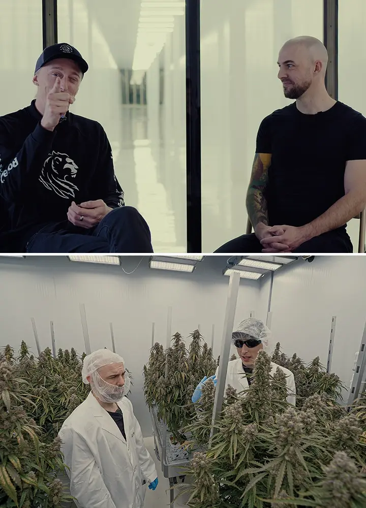 Simon CRIC Labs Rôle de Recherche Cannabis Guide Une illustration de Simon de CRIC Labs discutant de son rôle de recherche avec Max, dans une salle de culture intérieure high-tech avec des plantes de cannabis, des outils de collecte de données et des plateformes logicielles, sur un fond vert.