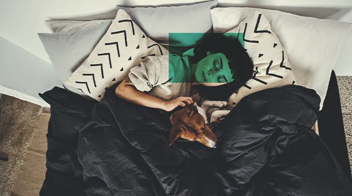 Sommeil Sommeil