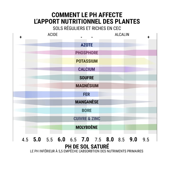 Comment Le Ph Affecte L'Apport Nutritionnel Des Plantes Comment Le Ph Affecte L'Apport Nutritionnel Des Plantes