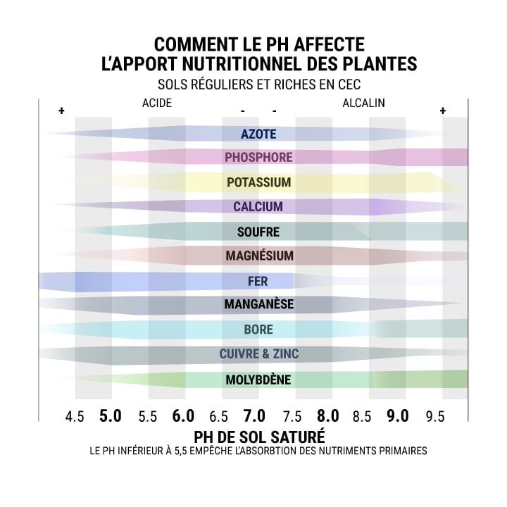 Comment Le Ph Affecte L'Apport Nutritionnel Des Plantes