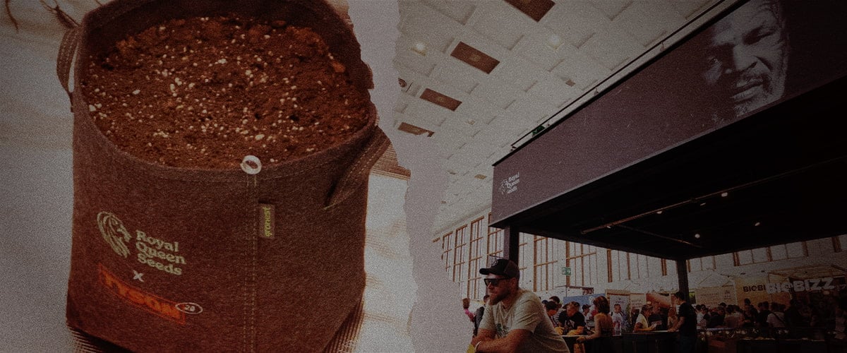 Pot de culture en tissu Royal Queen Seeds x Tyson 2.0 rempli de terre, avec un stand animé lors d’un salon du cannabis et l’image de Mike Tyson projetée en arrière-plan.