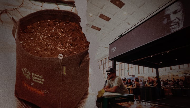 Fabric grow pot from Royal Queen Seeds x Tyson 2.0 filled with soil, alongside a busy cannabis trade fair stand featuring Mike Tyson's image and branding.