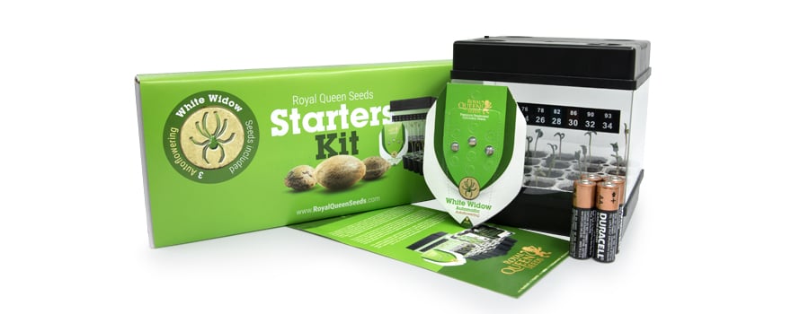 Starter Kit Autofloraison Royal Queen Seeds Starter Kit Autofloraison Royal Queen Seeds