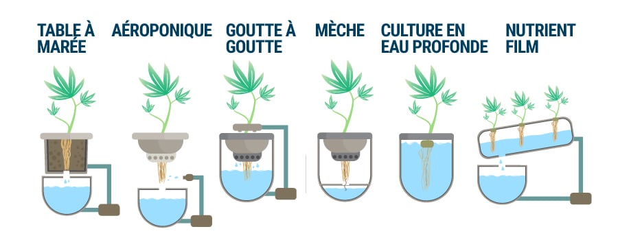 Types De Systèmes Hydroponiques