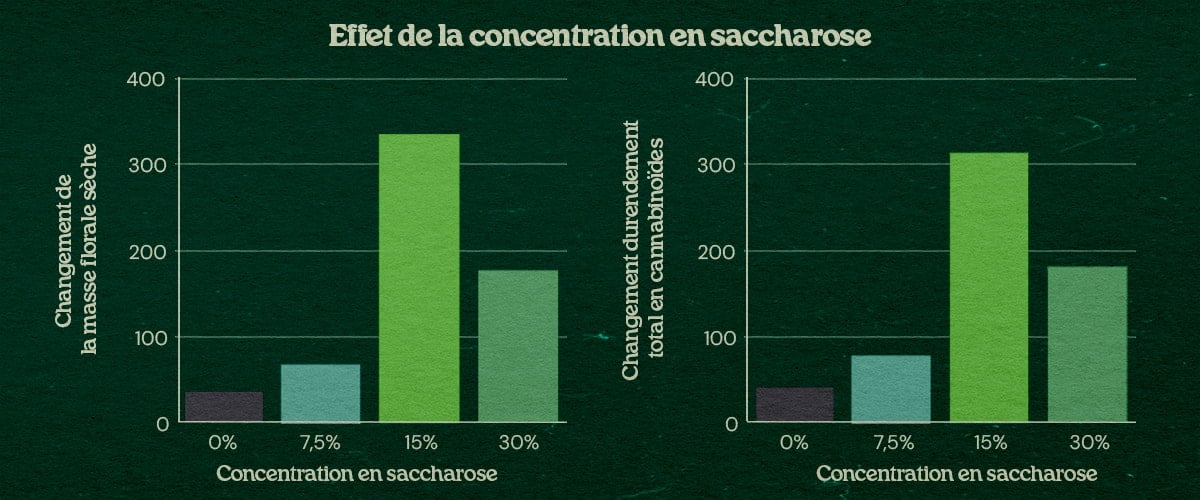 Graphique effet concentration sucrose avec technique PSIS jusqu’à +31% masse sèche fleurs et +34% rendement cannabinoïdes à 15% et 30% sucrose