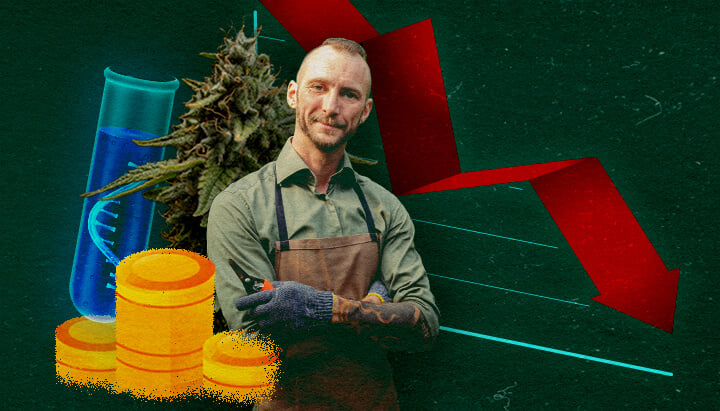 Impact Économique sur les Cultivateurs de Cannabis Cultivateur de cannabis avec tube à essai, pièces et graphique rouge descendant sur fond vert, montrant l'impact économique.