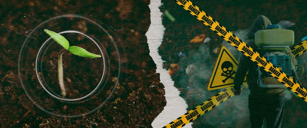 L'Urgence des Fongicides Biologiques : Protéger Notre Alimentation et la Santé des Sols Le contraste entre la croissance saine des plantes et les dangers des fongicides synthétiques dans l'agriculture moderne, soulignant la nécessité d'alternatives biologiques.