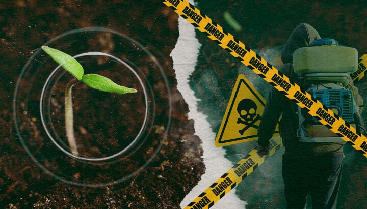 L'Urgence des Fongicides Biologiques : Protéger Notre Alimentation et la Santé des Sols Le contraste entre la croissance saine des plantes et les dangers des fongicides synthétiques dans l'agriculture moderne, soulignant la nécessité d'alternatives biologiques.