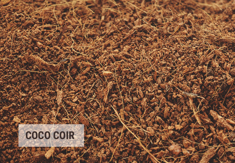Conseils Pour Réutiliser La Fibre De Coco Conseils Pour Réutiliser La Fibre De Coco