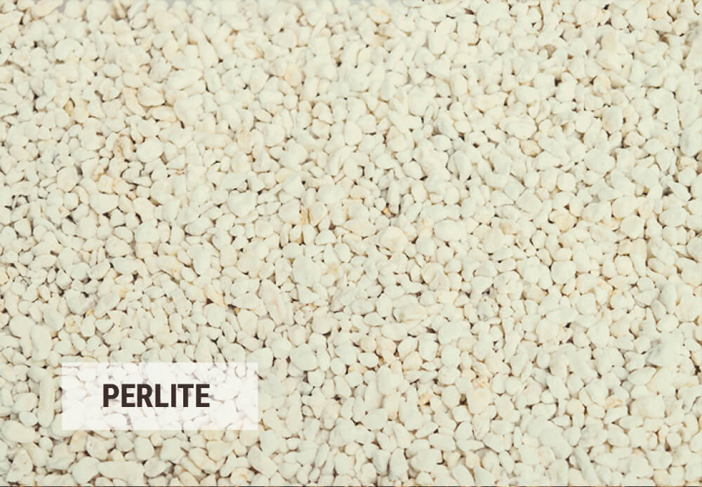 Conseils Pour Réutiliser Des Billes d’Argile Ou De La Perlite Conseils Pour Réutiliser Des Billes d’Argile Ou De La Perlite