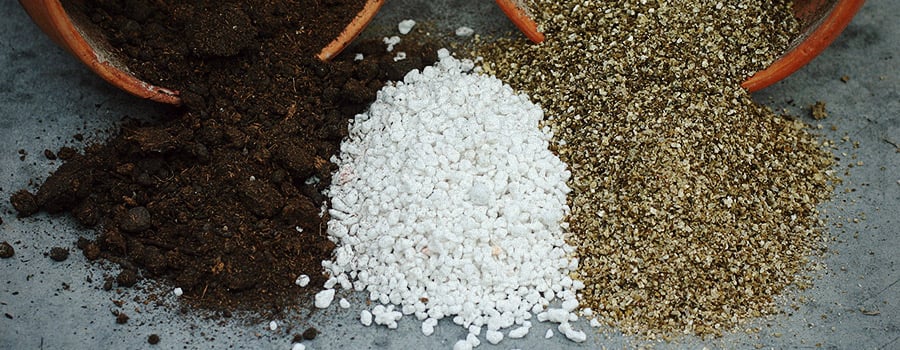 Types De Culture De Cannabis Perlite Types De Culture De Cannabis Perlite