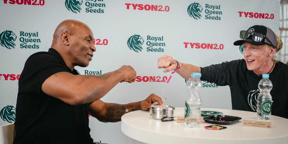 Découvrez Mike Tyson et le maître cultivateur Max Majot discuter de la culture du cannabis en Europe, des variétés remarquables et de ce qui compte le plus pour les cultivateurs.