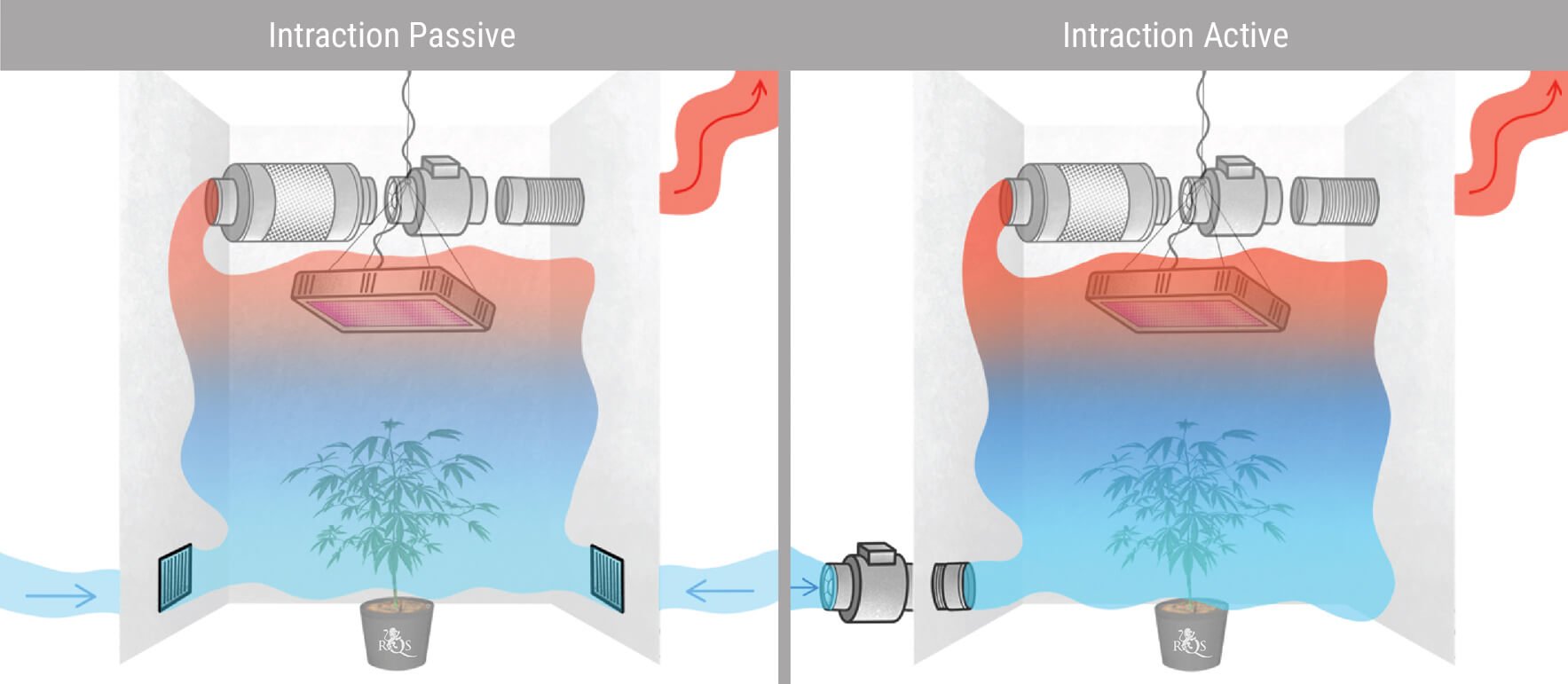 Choisir Entre Intraction Passive Ou Active