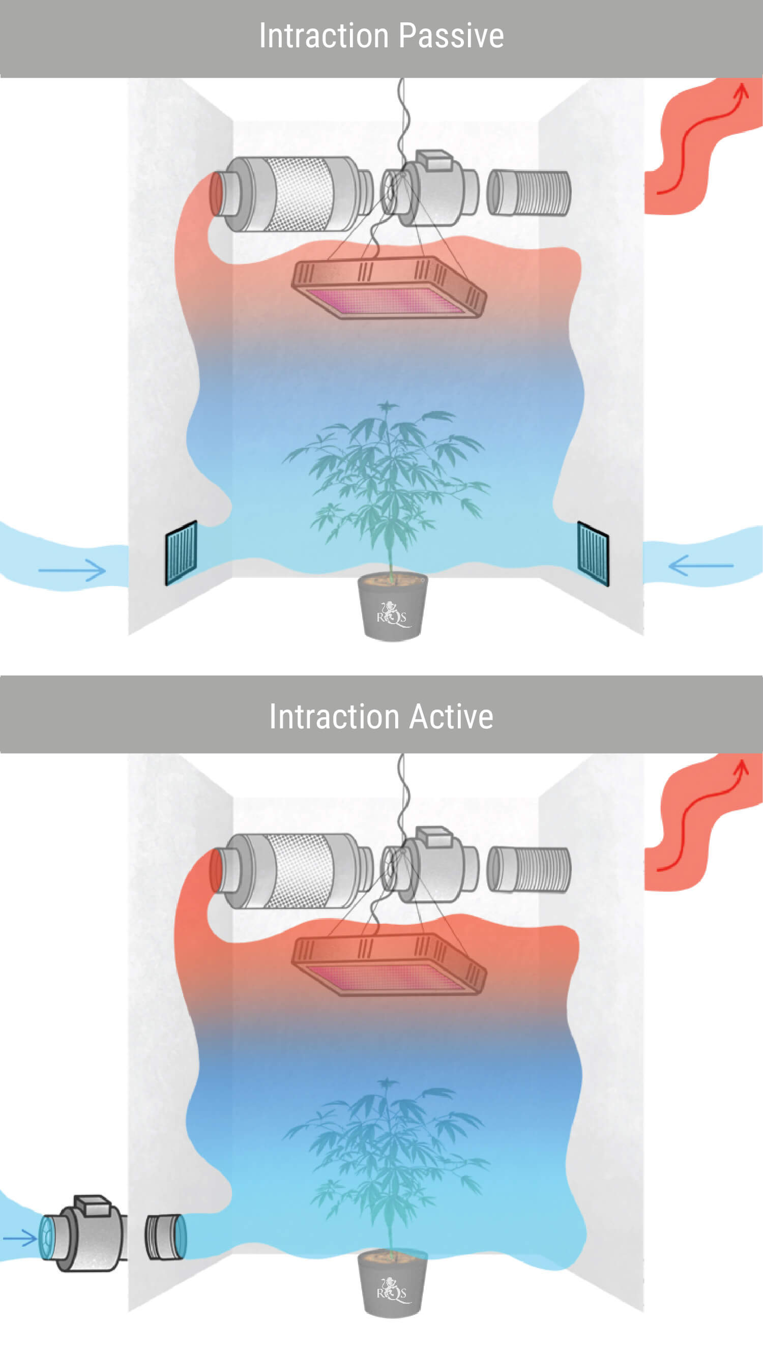 Choisir Entre Intraction Passive Ou Active