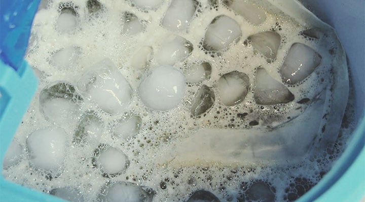 Bubble hasch vs Dry ice sift : quelle est la différence ?