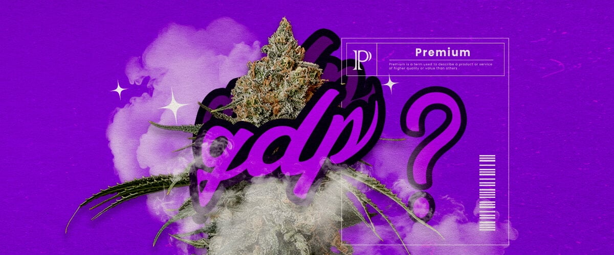 Une illustration des bourgeons de cannabis Granddaddy Purple avec des teintes pourpres profondes et une structure dense, mettant en valeur ses traits hybrides dominants indica et son arôme doux de raisin, sur un fond vert.