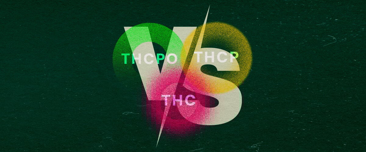 Découvrez les Différences entre THCPO, THCP et THC avec ce Graphique de Comparaison Vibrant Graphique coloré comparant le THCPO, le THCP et le THC avec un texte audacieux et des teintes vibrantes vertes, roses et jaunes sur un fond vert foncé, idéal pour des articles de comparaison sur le cannabis.
