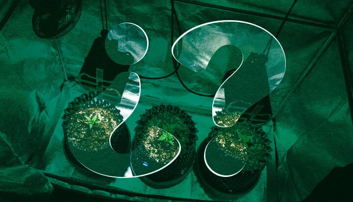 Pourquoi Utiliser une Tente de Culture pour le Cannabis ? Avantages des Enceintes de Culture Intérieure Découvrez les avantages d'utiliser une tente de culture pour la culture intérieure de cannabis. Explorez les avantages tels que le contrôle climatique optimisé, l'efficacité lumineuse améliorée, la prévention supérieure des parasites et une intimité accrue pour vos plants de cannabis.