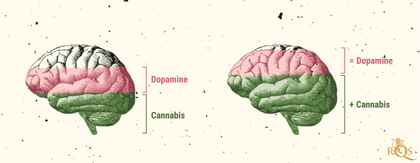 De possible causes du trouble de la consommation de cannabis