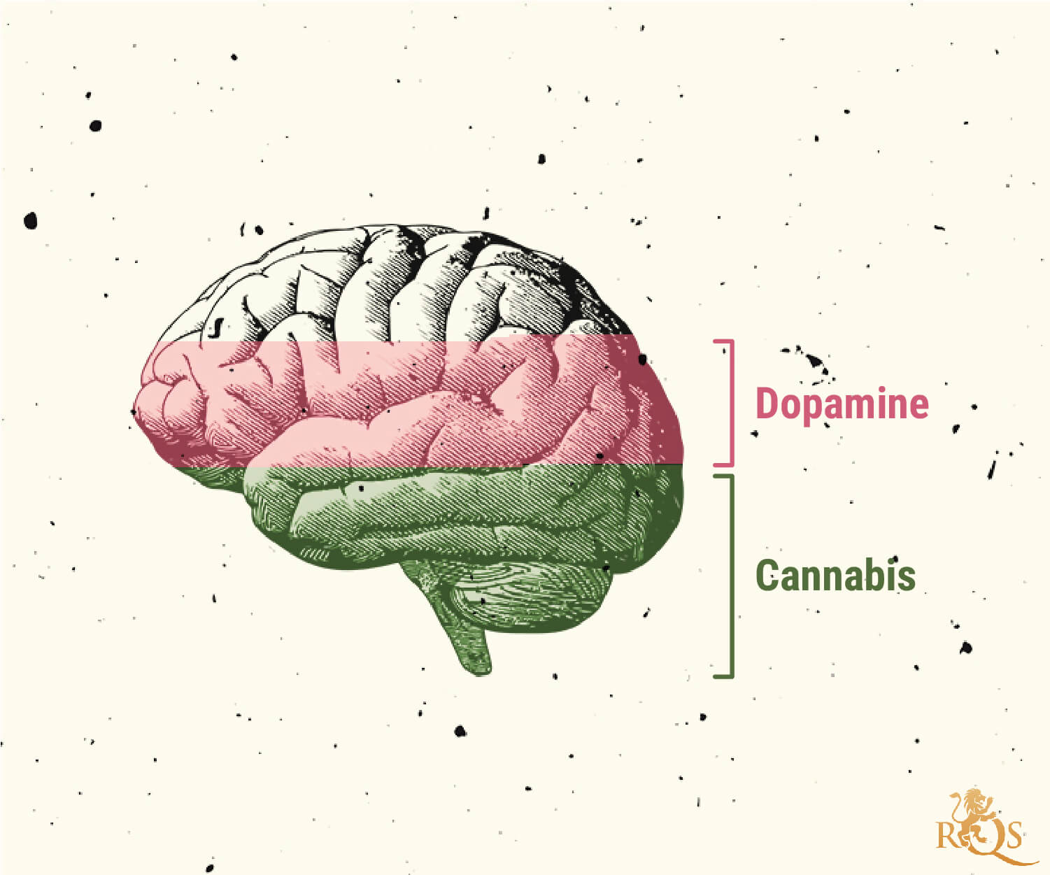 De possible causes du trouble de la consommation de cannabis