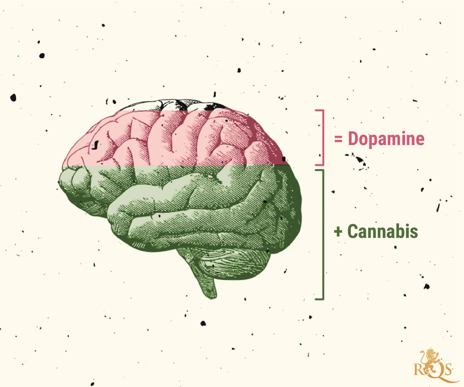 De possible causes du trouble de la consommation de cannabis