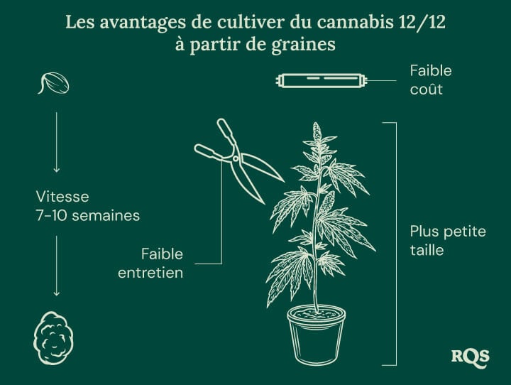12-12 Cannabis Light Cycle advantages