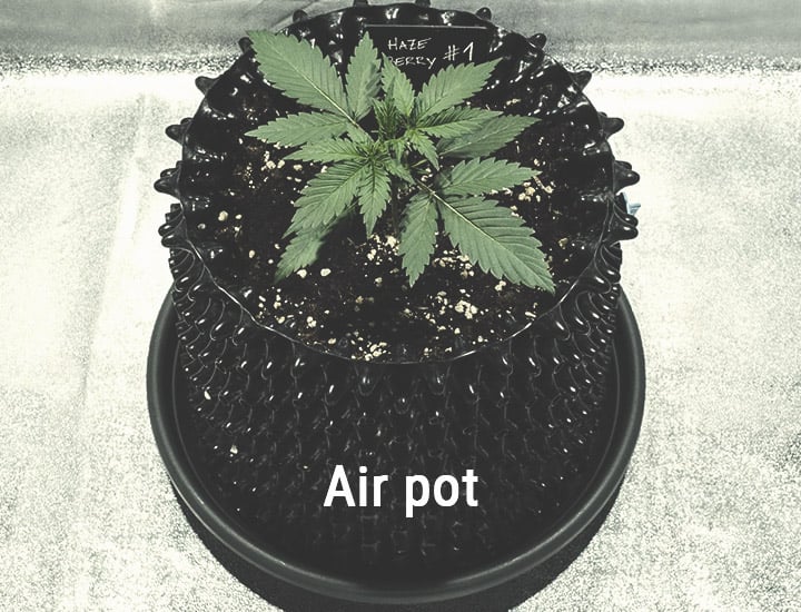Air-Pots Air-Pots