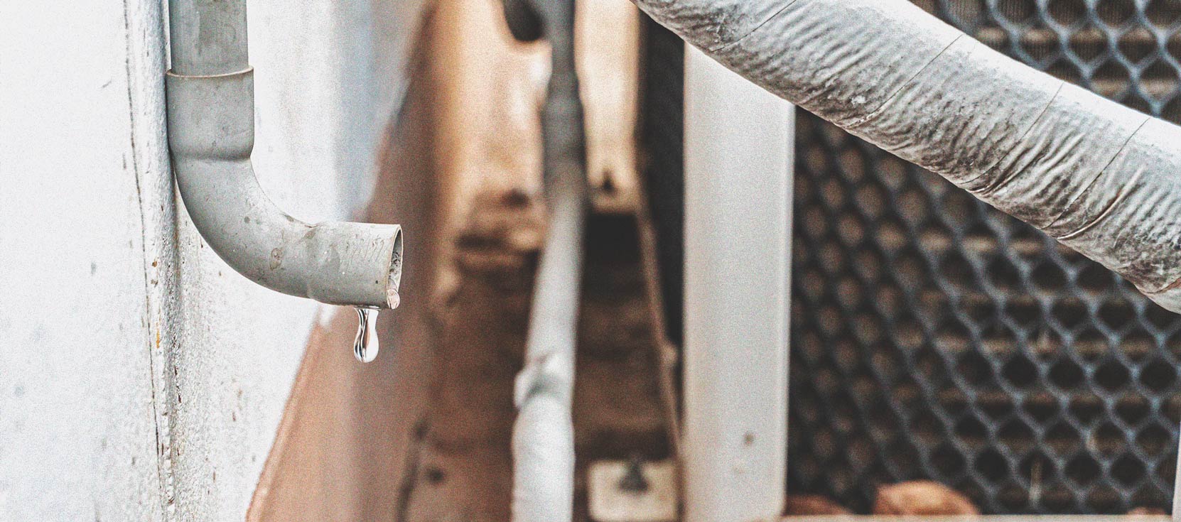 Cannabis et qualité de l’eau Partie 3 : choisir une source d’eau Cannabis et qualité de l’eau Partie 3 : choisir une source d’eau