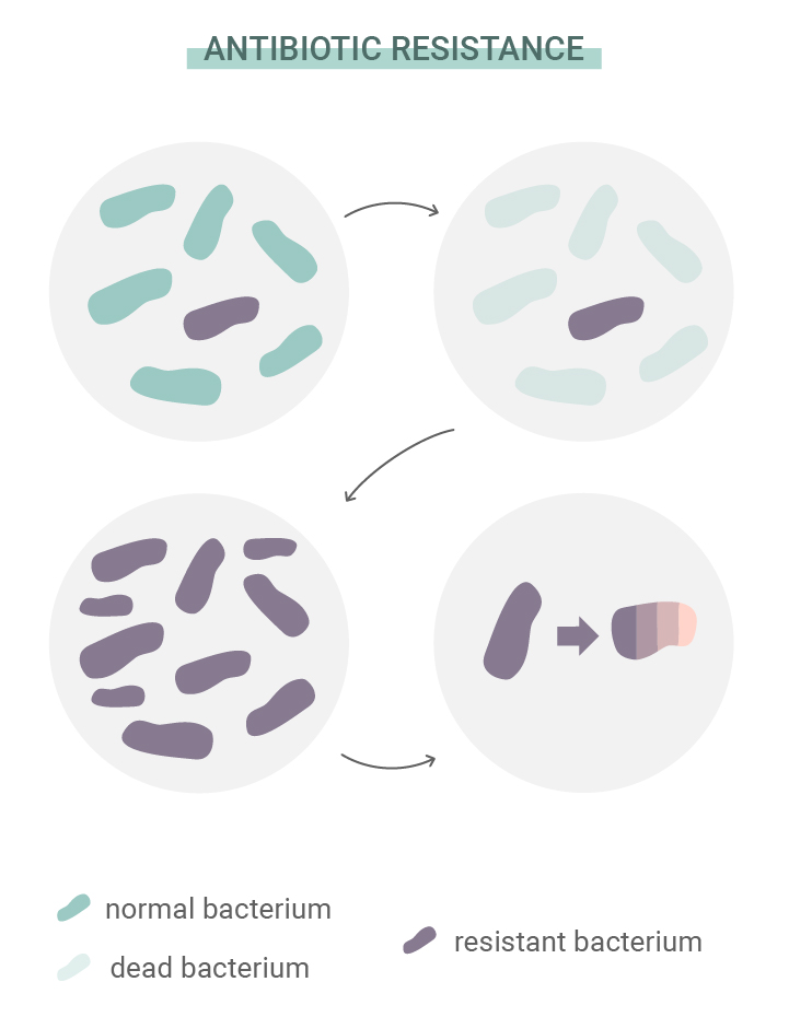Qu’est-ce que la résistance aux antibiotiques Qu’est-ce que la résistance aux antibiotiques